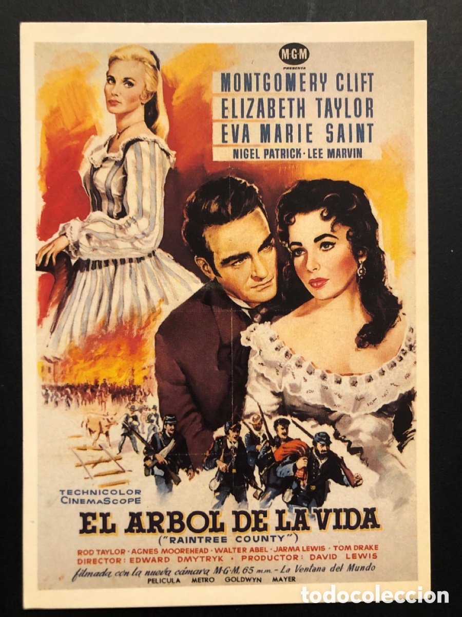 Cine: Tarjeta postal montgomery clift elizabeth taylor el &aacute;rbol de la vida