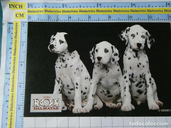 Kino: POSTAL DE CINE TV PEL&Iacute;CULAS ACTORES ACTRICES. PEL&Iacute;CULA ANIMACI&Oacute;N INFANTIL 101 D&Aacute;LMATAS . 78