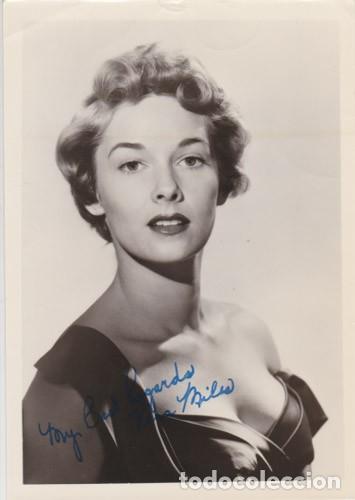 Kino: VERA MILES