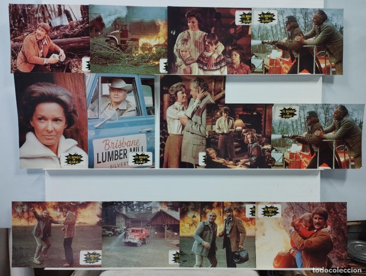 Kino: EL BOSQUE EN LLAMAS VERA MILES ERNEST BORGNINE. 12 FOTOCROMOS