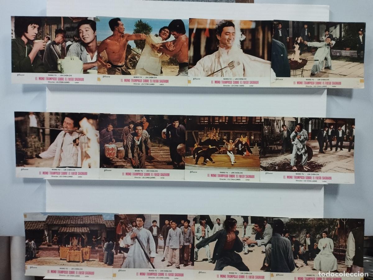 Cine: El mono tramposo sobre el fuego sagrado. Wong Yu, Lin C. ARTES MARCIALES. 12 FOTOCROMOS