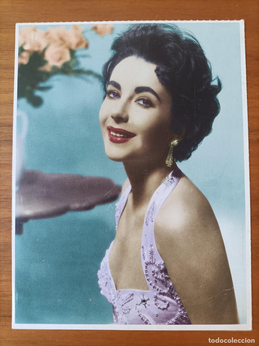 Cine: POSTAL. FOTOS POSTAL DE LA ACTRIZ. AMERICANA. ELIZABETH TAYLOR. 15X12 NUEVA VER DATOS.