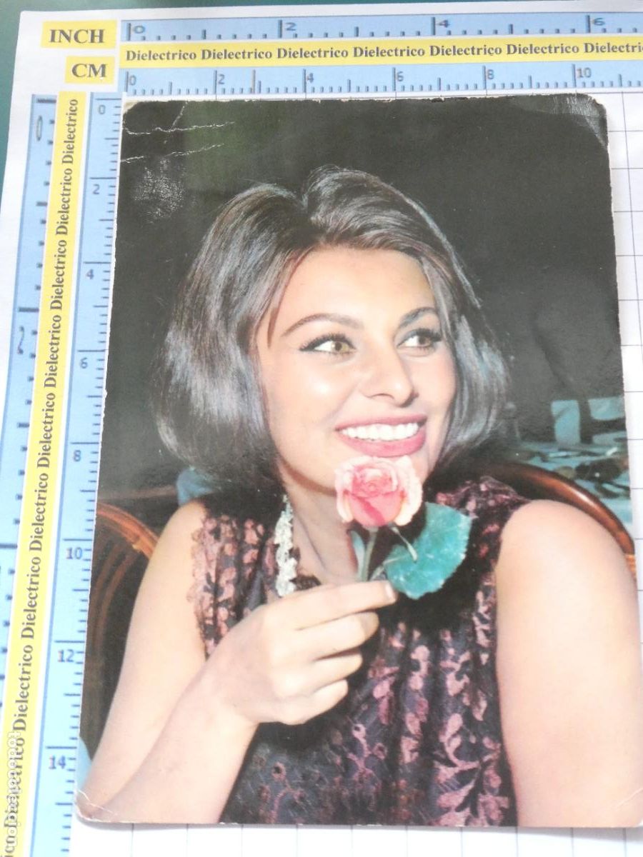 Kino: POSTAL DE ARTISTAS ACTRICES CANTANTES. SOPHIA LOREN. EKTACHROME ANDERS. 1315