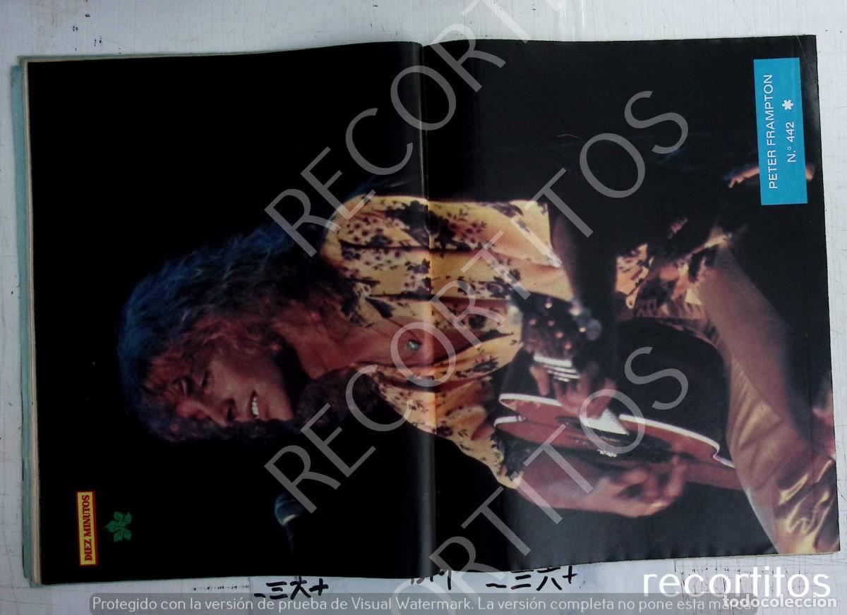 Cine: PETER FRAMPTON POSTER