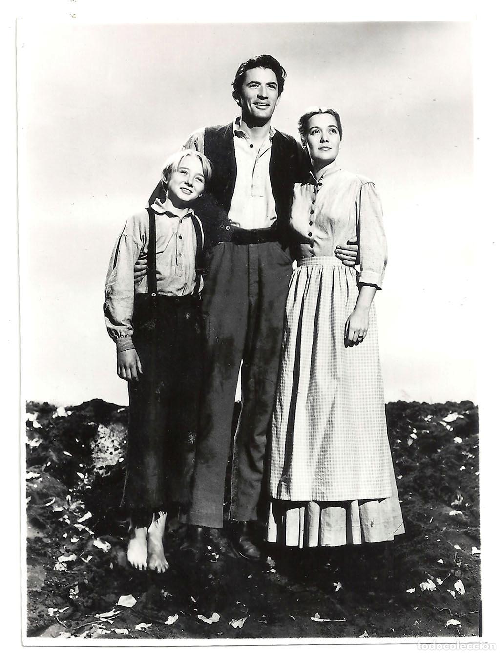 Cine: F35020 JANE WYMAN GREGORY PECK EL DESPERTAR FOTO ORIGINAL B/N ESPA&Ntilde;OLA