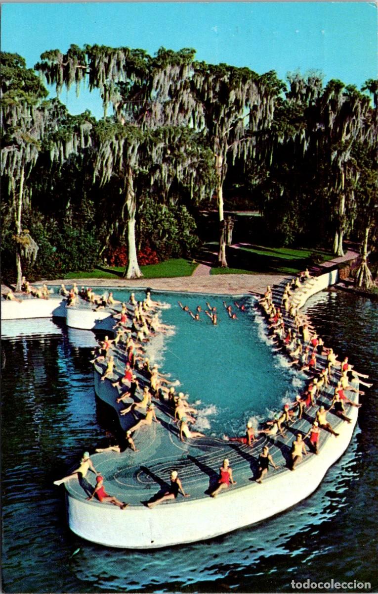 Cine: Esther Williams -EUA -Florida's Cypress Gardens - Lake Eloise - Movie Filmed MGM - Postal - 138x88mm