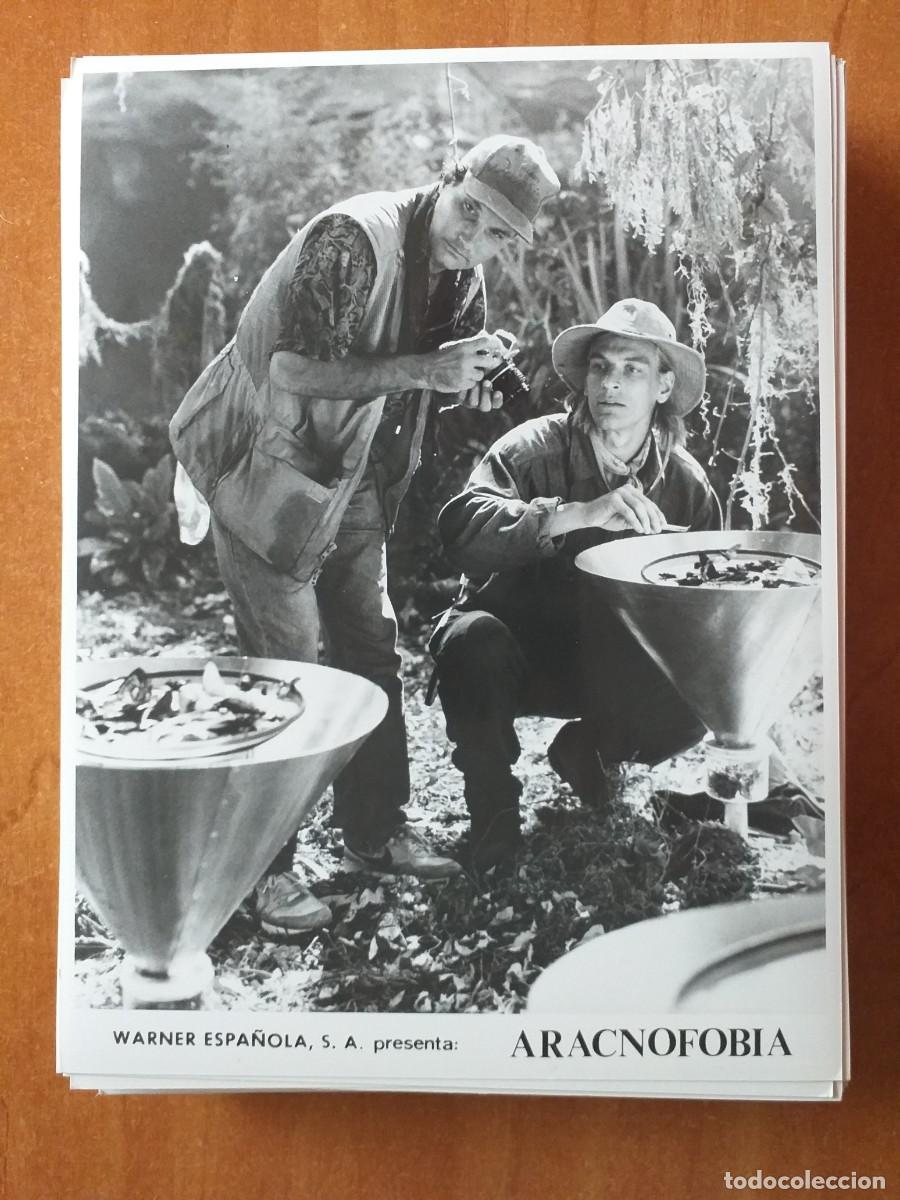 Cine: FOTOGRAF&Iacute;A PEL&Iacute;CULA - ARACNOFOBIA - EN NEGRO