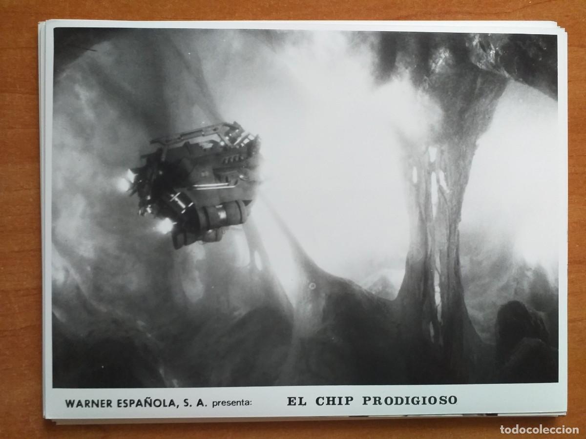 Cine: FOTOGRAF&Iacute;A PEL&Iacute;CULA-EL CHIP PRODIGIOSO- EN NEGRO