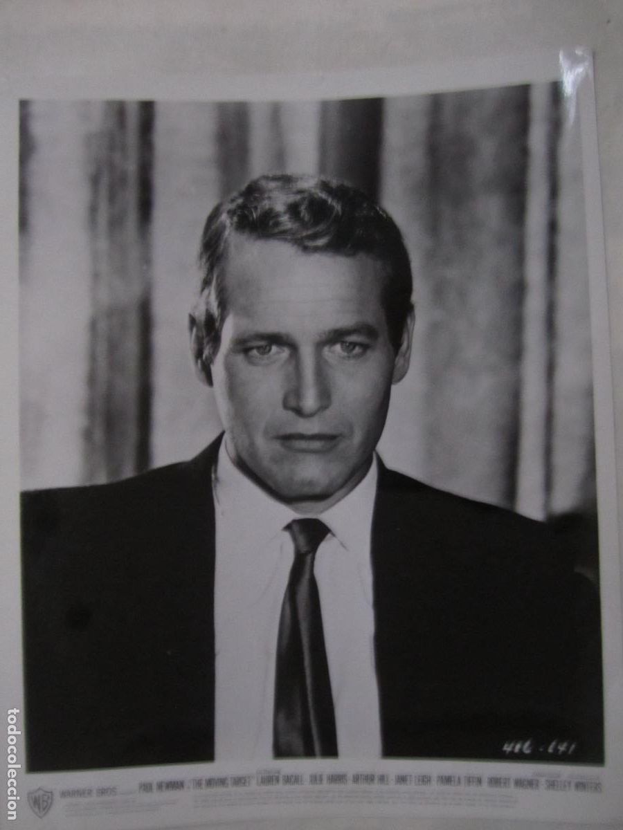 Cine: paul newman - foto b/n original - cinema actor - the moving target