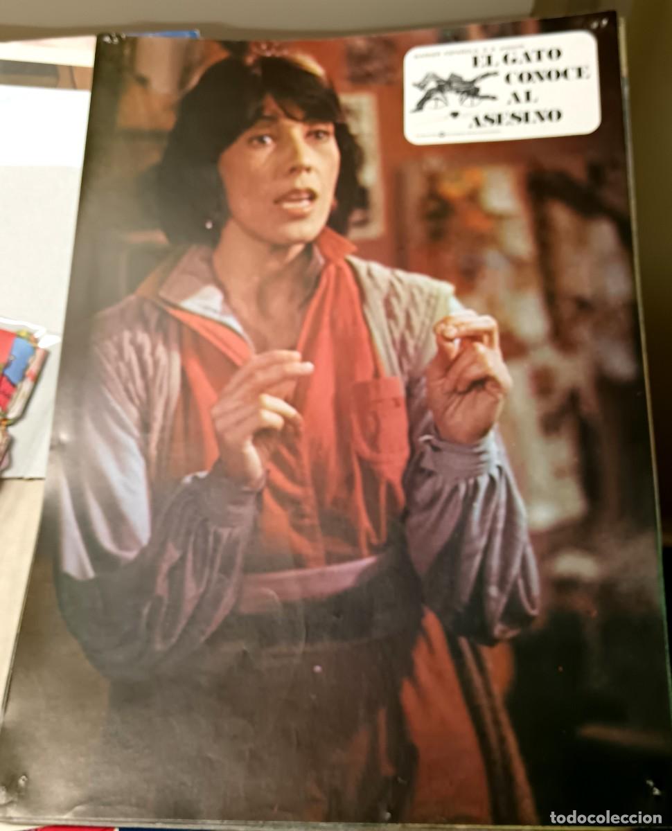 Kino: 12 FOTOCROMOS EL GATO CONOCE AL ASESINO WARNER 24X34 CM.