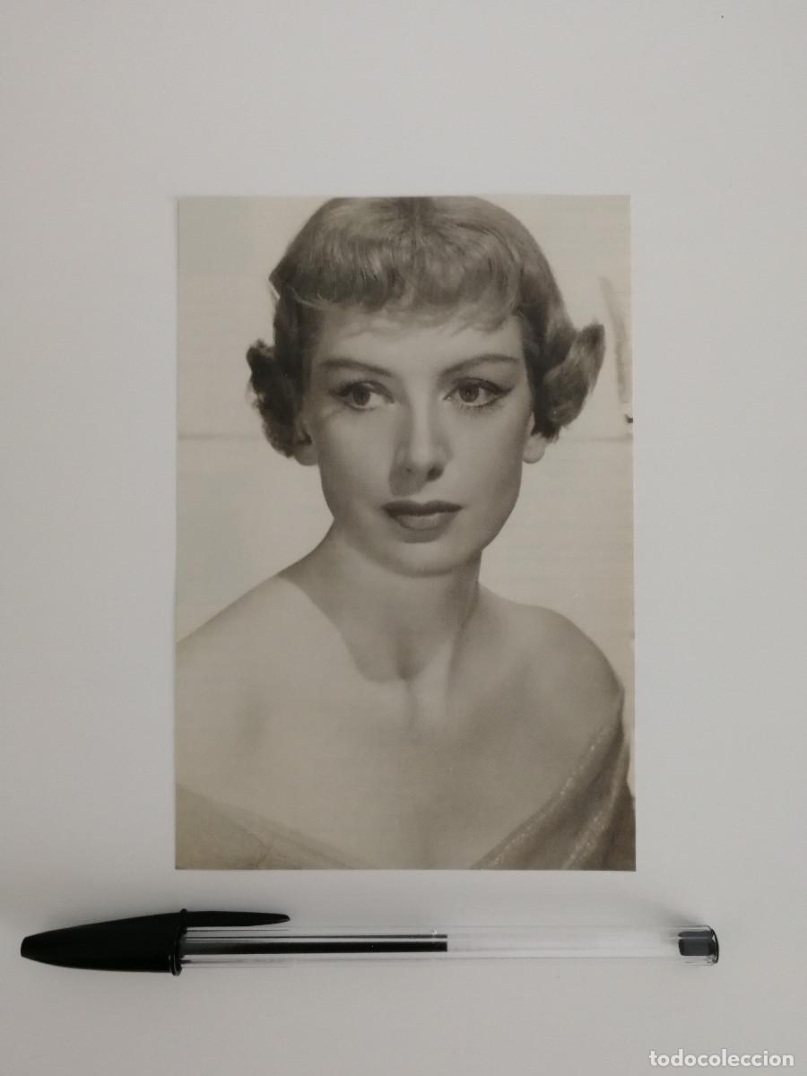 Cinema: TARJETA ACARTONADA -10*15- DEBORAH KERR