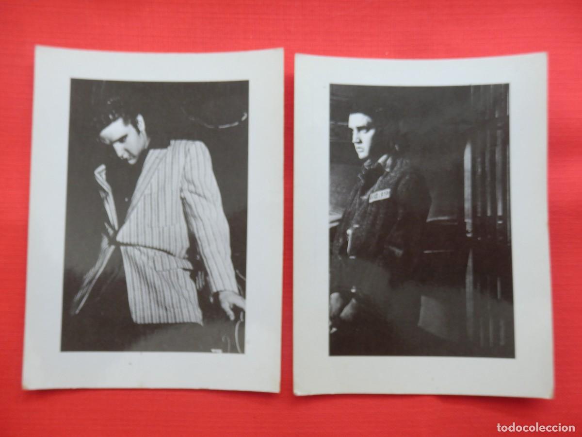 Cine: Elvis Presley, 2 fotografias en cart&oacute;n, brillantes, buen estado. 11x15 cms