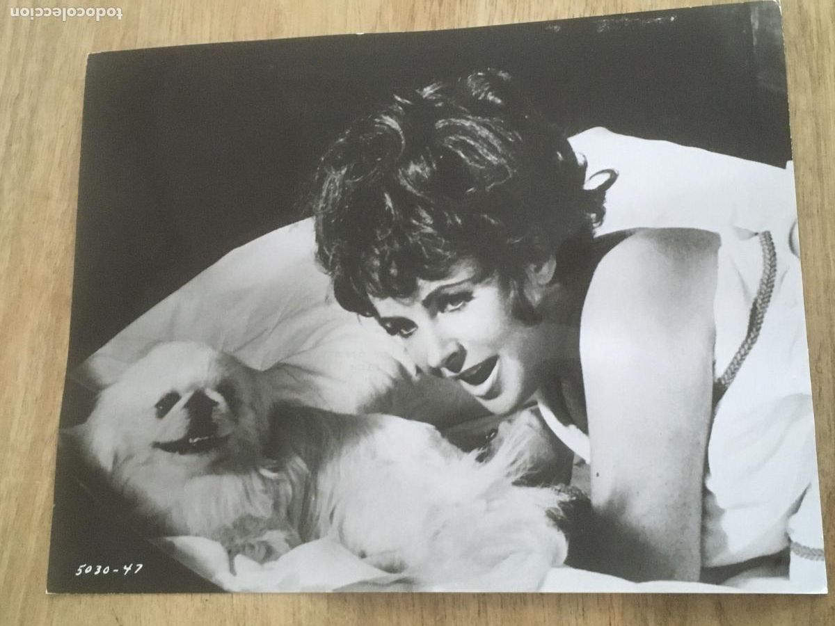 Cine: elizabeth taylor foto original antigua