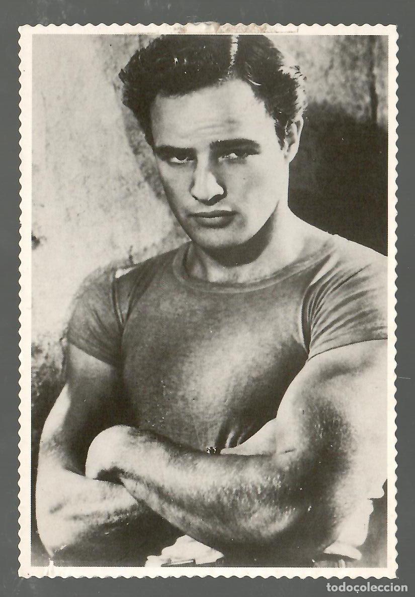 Cine: Postal Marlon Brandon. Edici&oacute;n Golden Star. Perfecto estado.. Vell i Bell