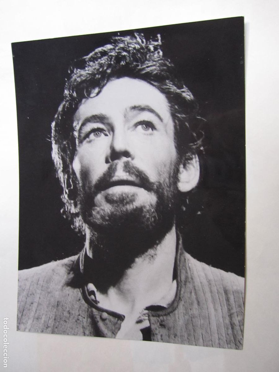 Cine: peter o'toole - foto b/n original - cinema actor - el hombre de la mancha don quijote