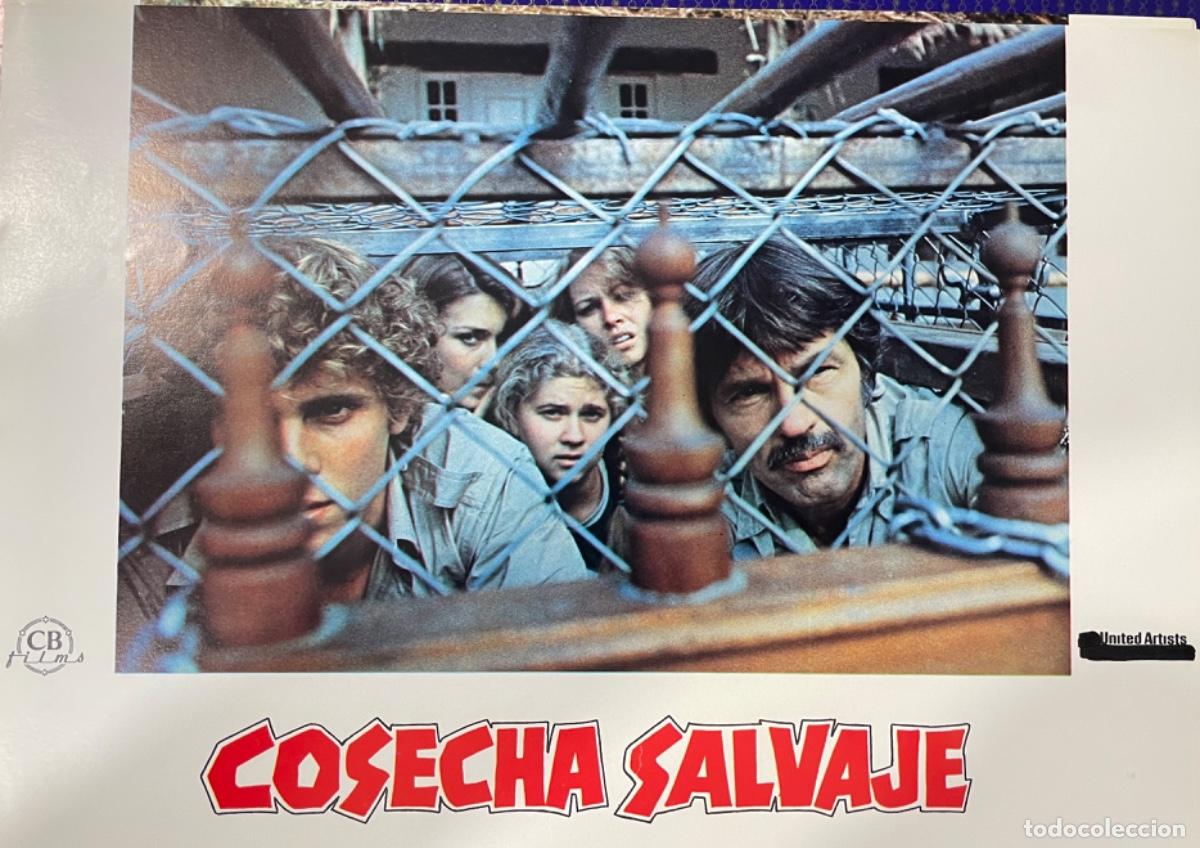 Kino: Cosecha salvaje (Fotocromo original del estreno de la pel&iacute;cula)