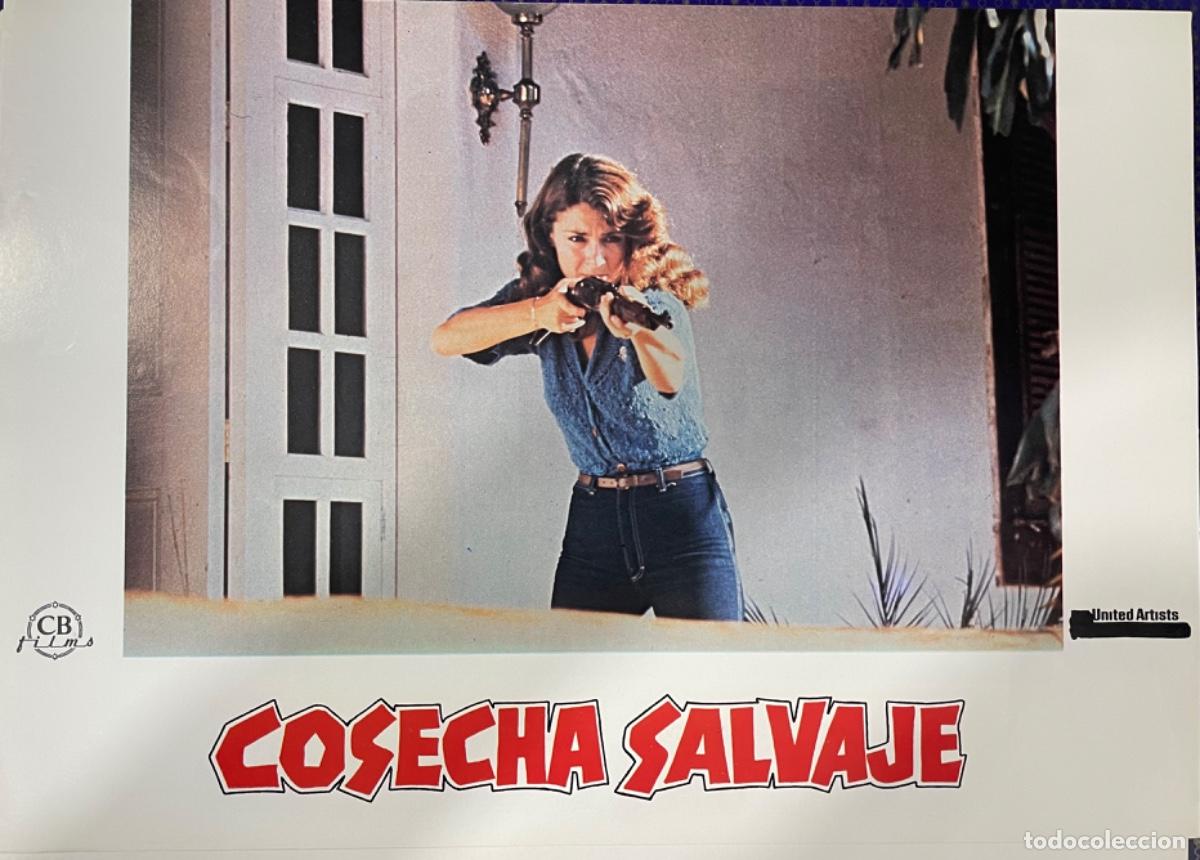 Kino: Cosecha salvaje (Fotocromo original del estreno de la pel&iacute;cula)