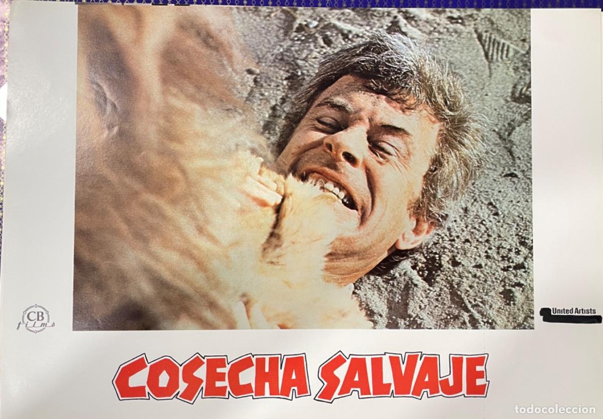 Kino: Cosecha salvaje (Fotocromo original del estreno de la pel&iacute;cula)