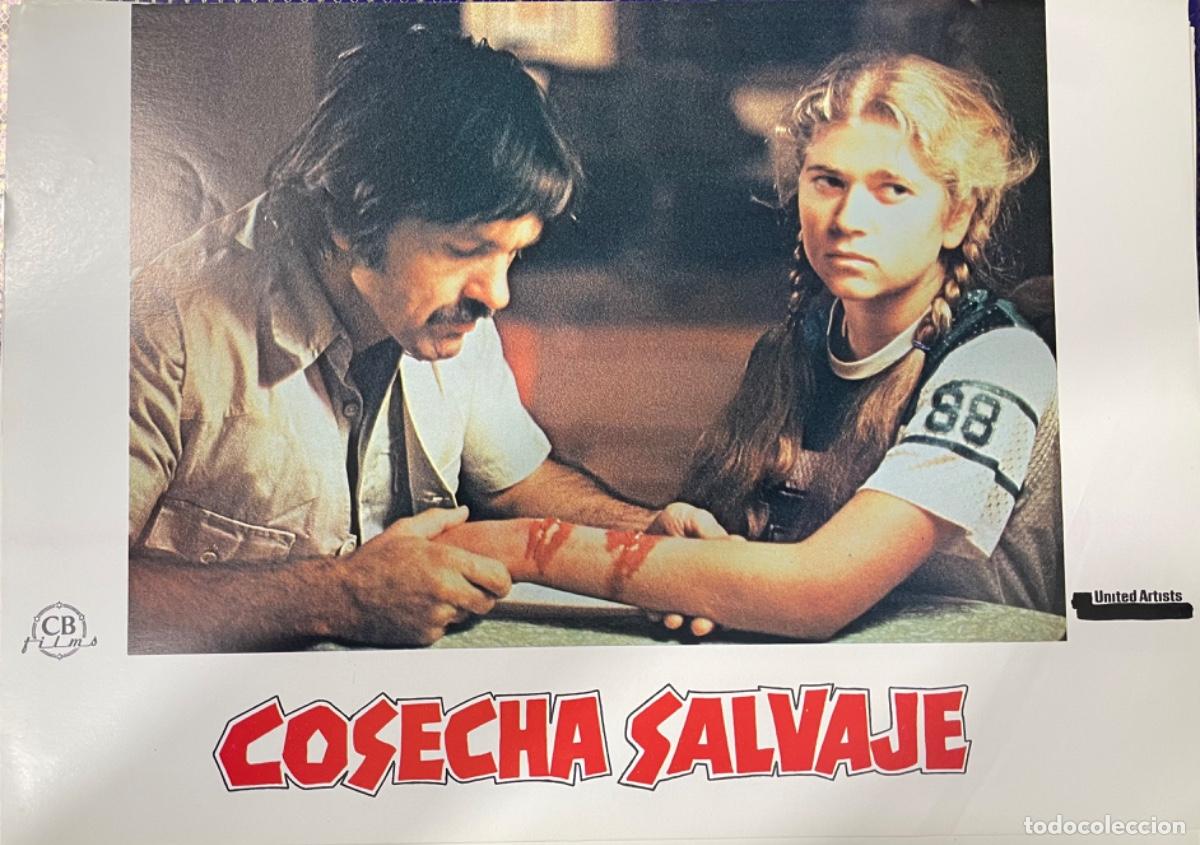 Kino: Cosecha salvaje (Fotocromo original del estreno de la pel&iacute;cula)