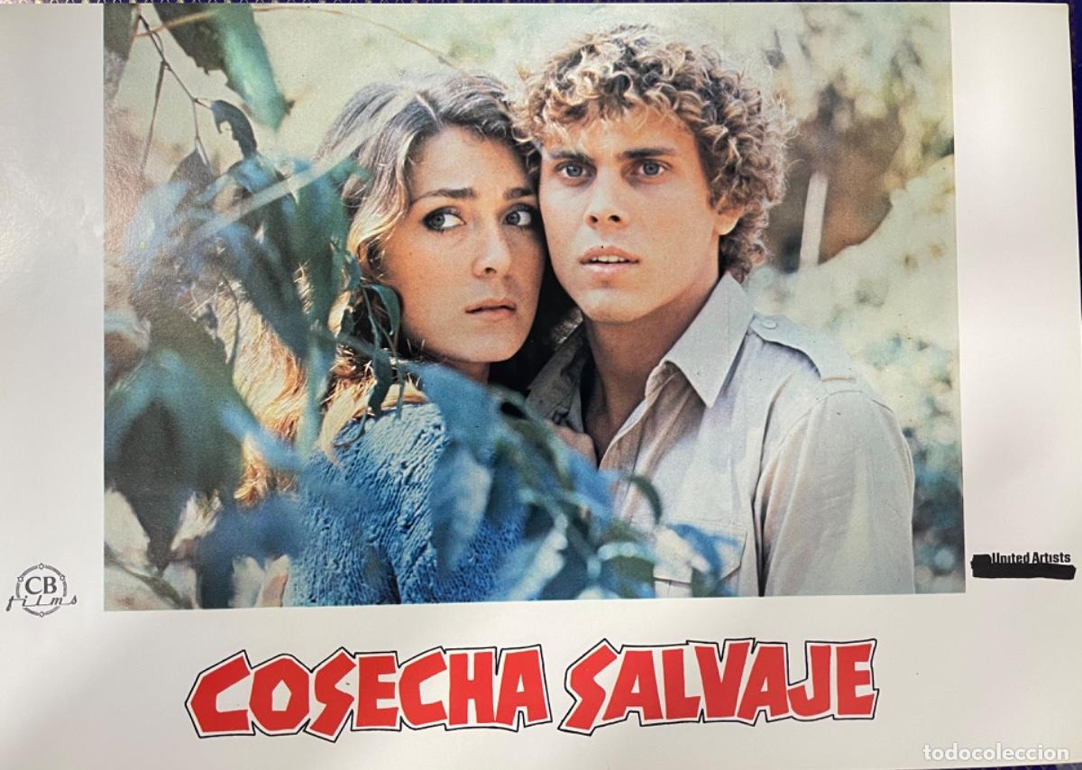 Cinema: Cosecha salvaje (Fotocromo original del estreno de la pel&iacute;cula)
