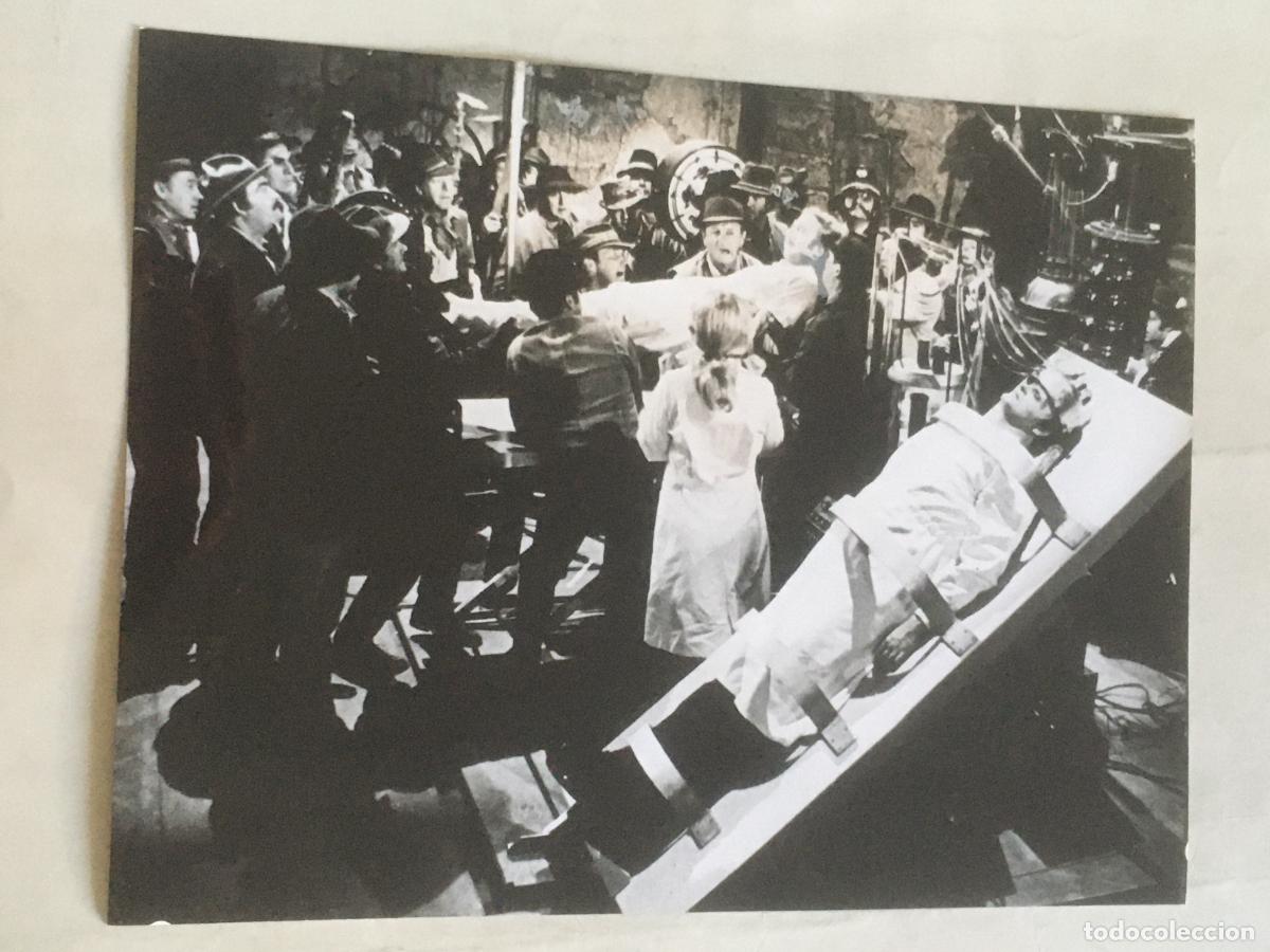 Cine: el jovencito frankenstein young mel brooks gene wilder foto original estreno