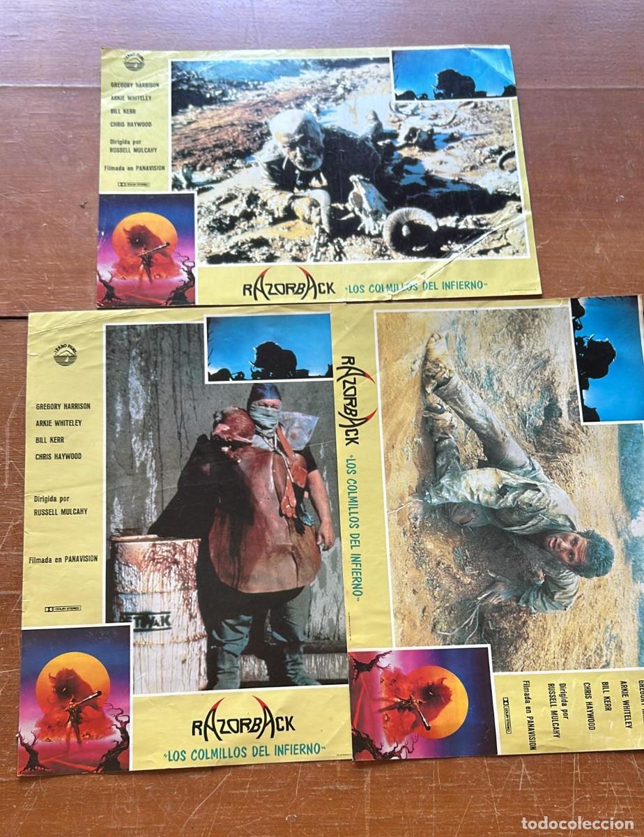 Cine: FOTOCROMOS PELICULA RAZORBACK HAY 3 UDS.
