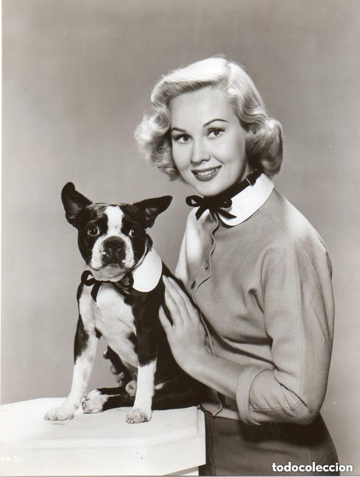 Kino: Fotograf&iacute;a Original Virginia Mayo con perrito Pictorial Press New York City