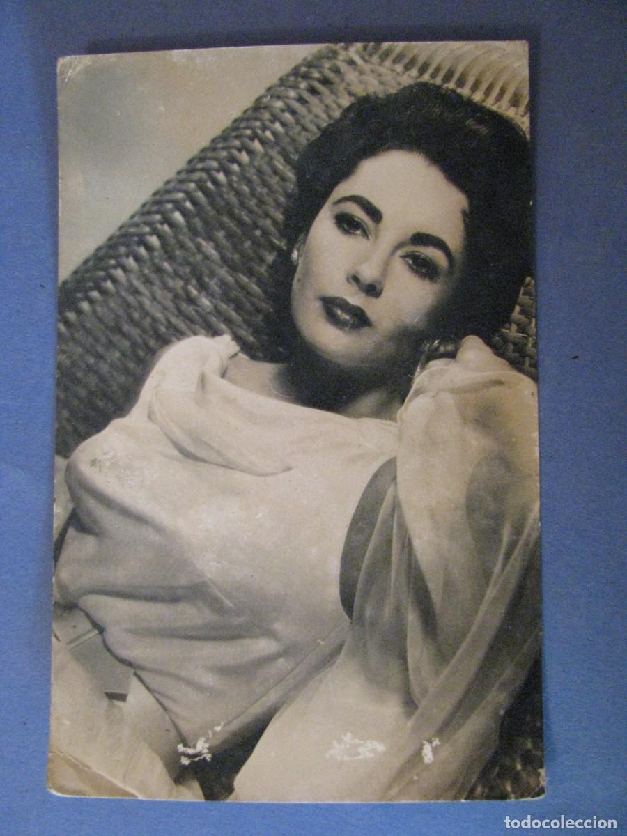 Cine: POSTAL FOTOGR&Aacute;FICA DE ELIZABETH TAYLOR. ARCHIVO BERMEJO 6392.