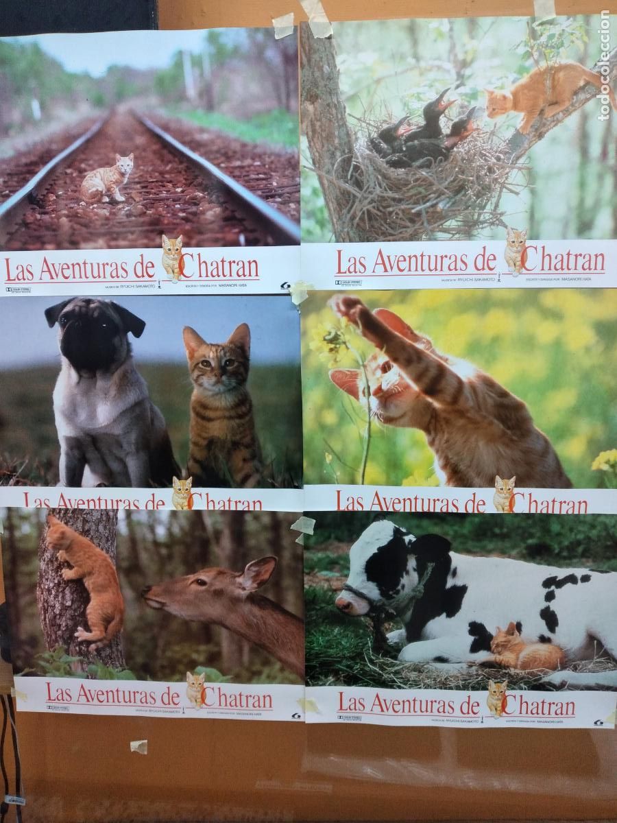Cinema: LAS AVENTURAS DE CHATRAN - 6 FOTOCROMOS 45 X 36 CM.