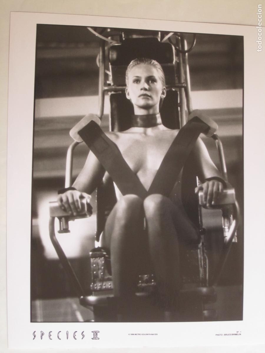 Kino: Natasha Henstridge - foto original b/n - species 2