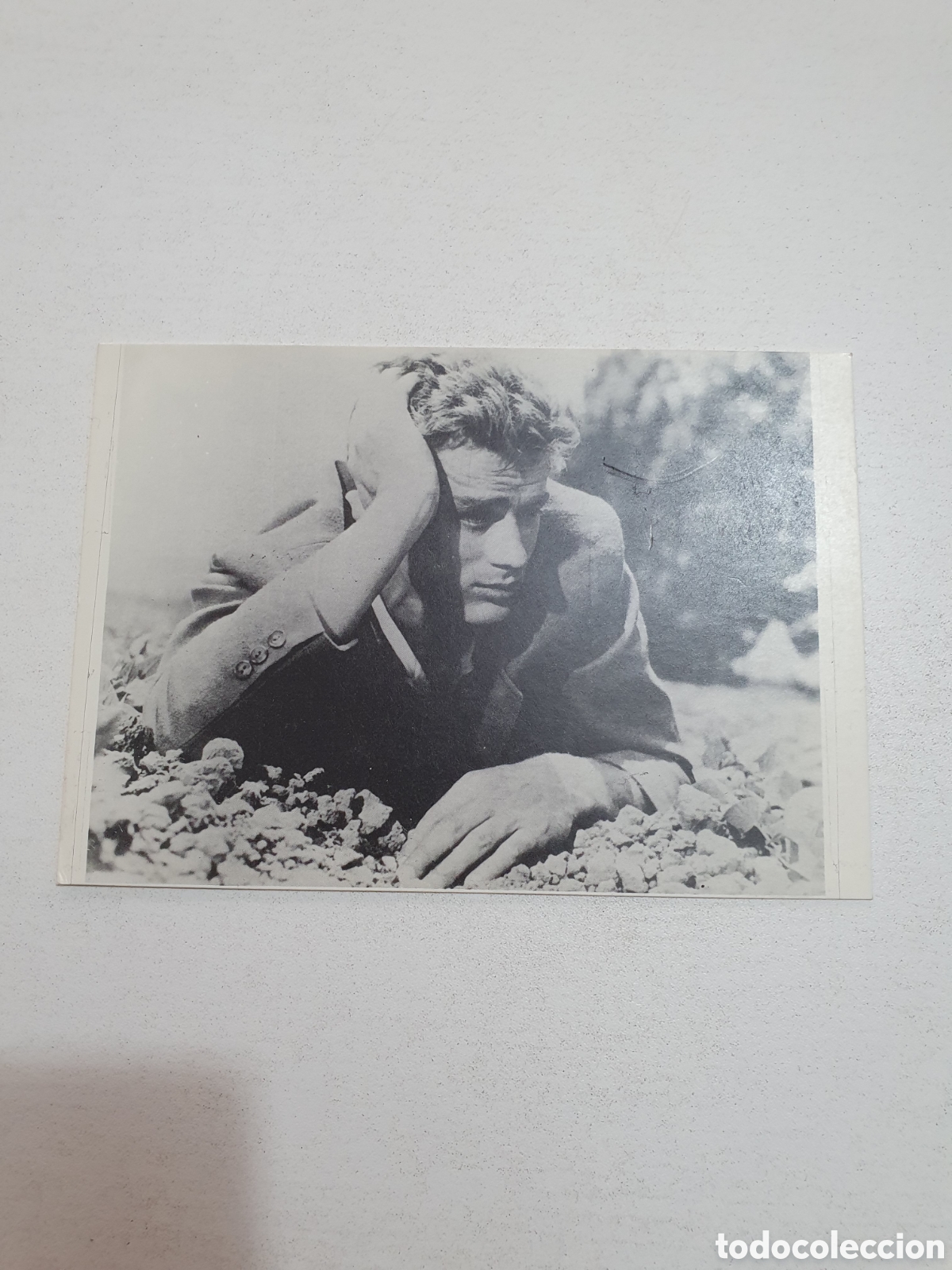 Cine: Postal - 29. James Dean - Cp349, Sin Circular.