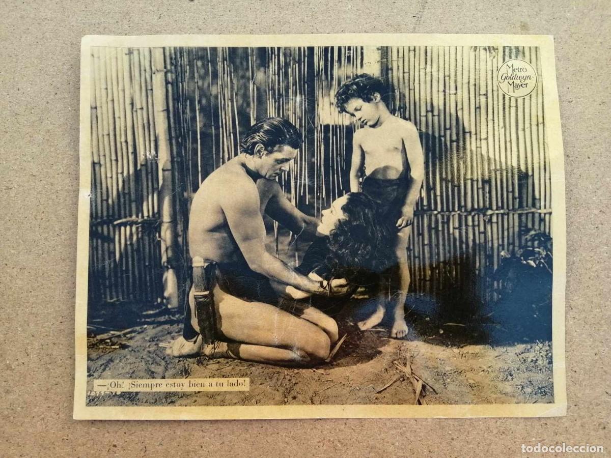 Kino: FOTOCROMO PELICULA TARZAN (JOHNNY WEISSMULLER - MAUREEN O' SULLVAN - JOHNNY SHEFFIELD)