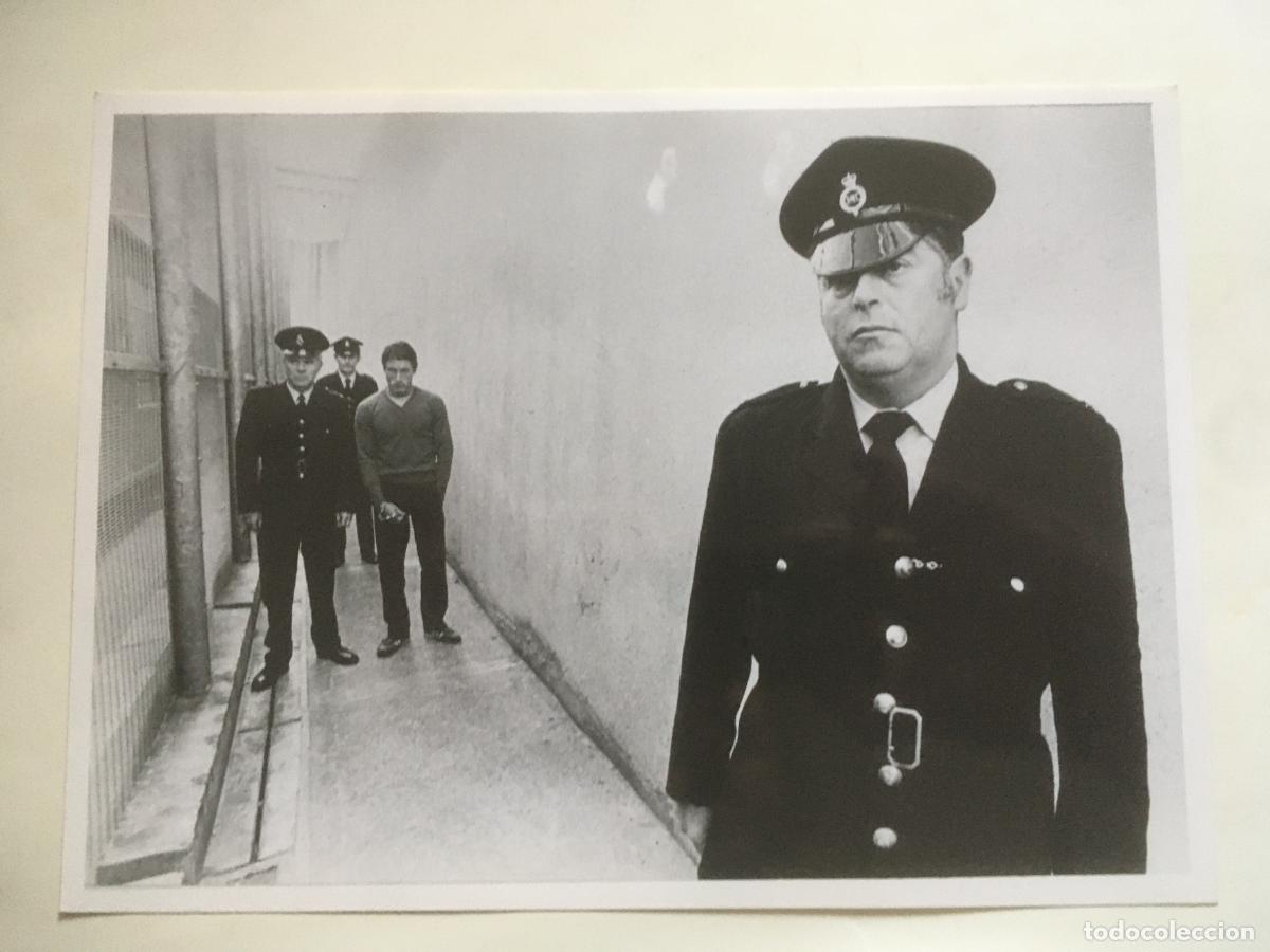 Cine: mcvicar roger daltrey the who foto original estreno