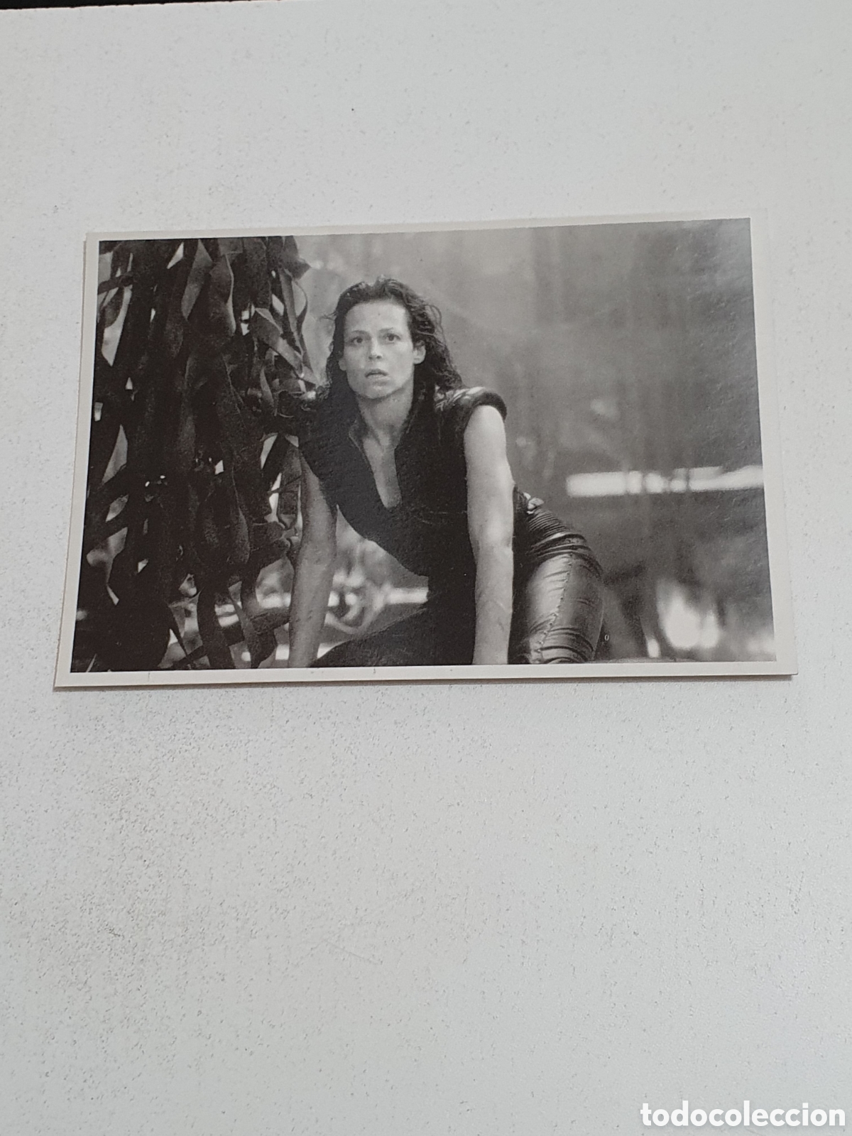 Cine: Postal -69. Alien Resurrection - 62 - Sin Circular.