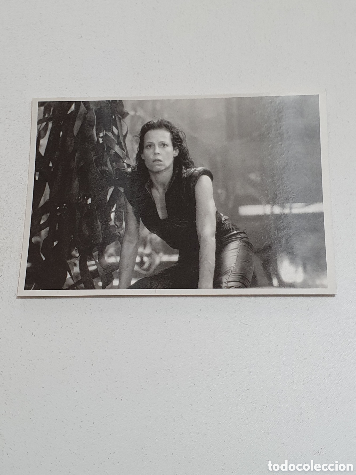 Cine: Postal -69. Alien Resurrection - 62 - Sin Circular.