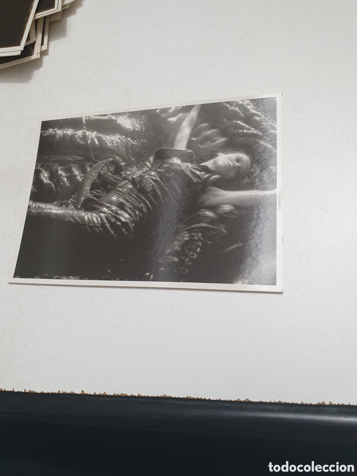 Cine: Postal-76. Alien Resurrection - 63 - Sin Circular.