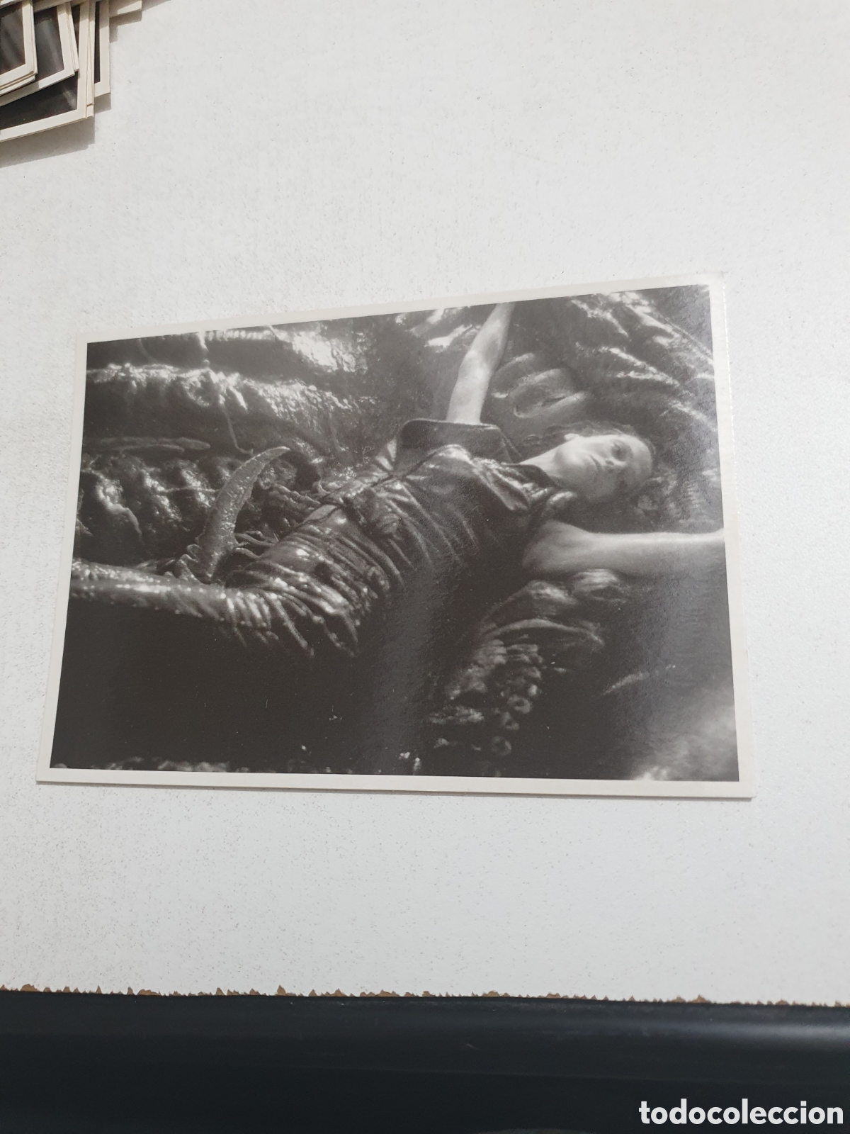 Cine: Postal-76. Alien Resurrection - 63 - Sin Circular.