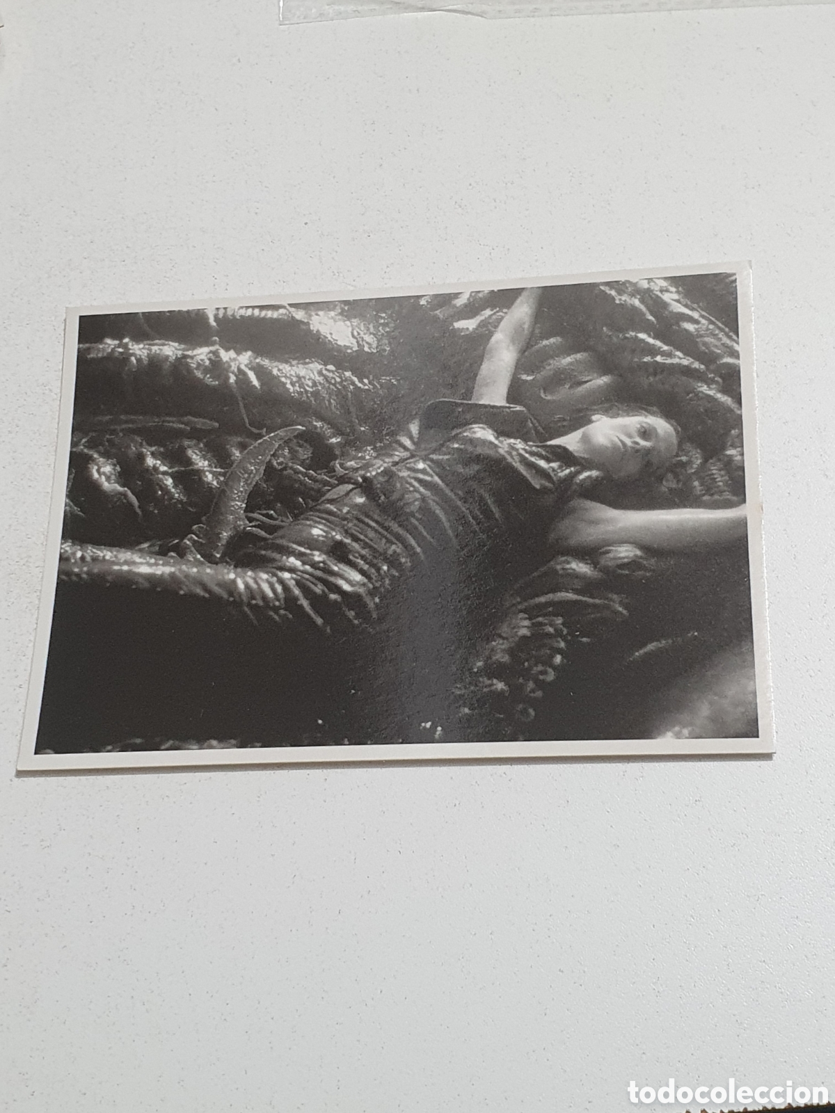 Cine: Postal-76. Alien Resurrection - 63 - Sin Circular.