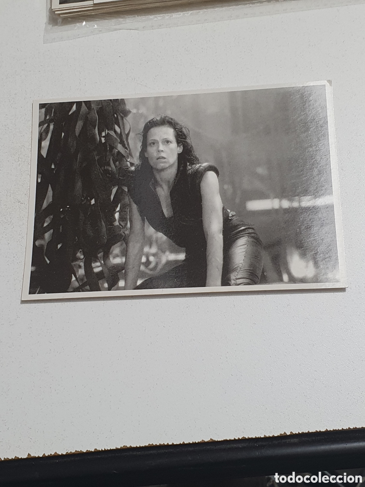 Cine: Postal-76. Alien Resurrection - 62 - Sin Circular.