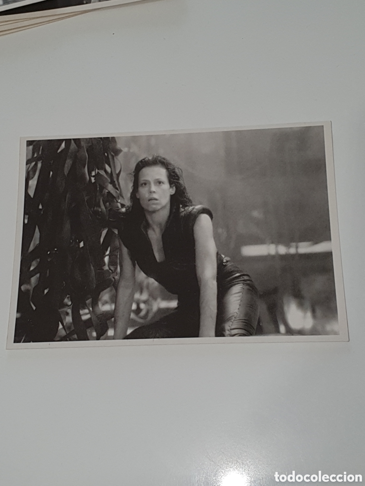 Cine: Postal-91. Alien Resurrection - 62 - Sin Circular.