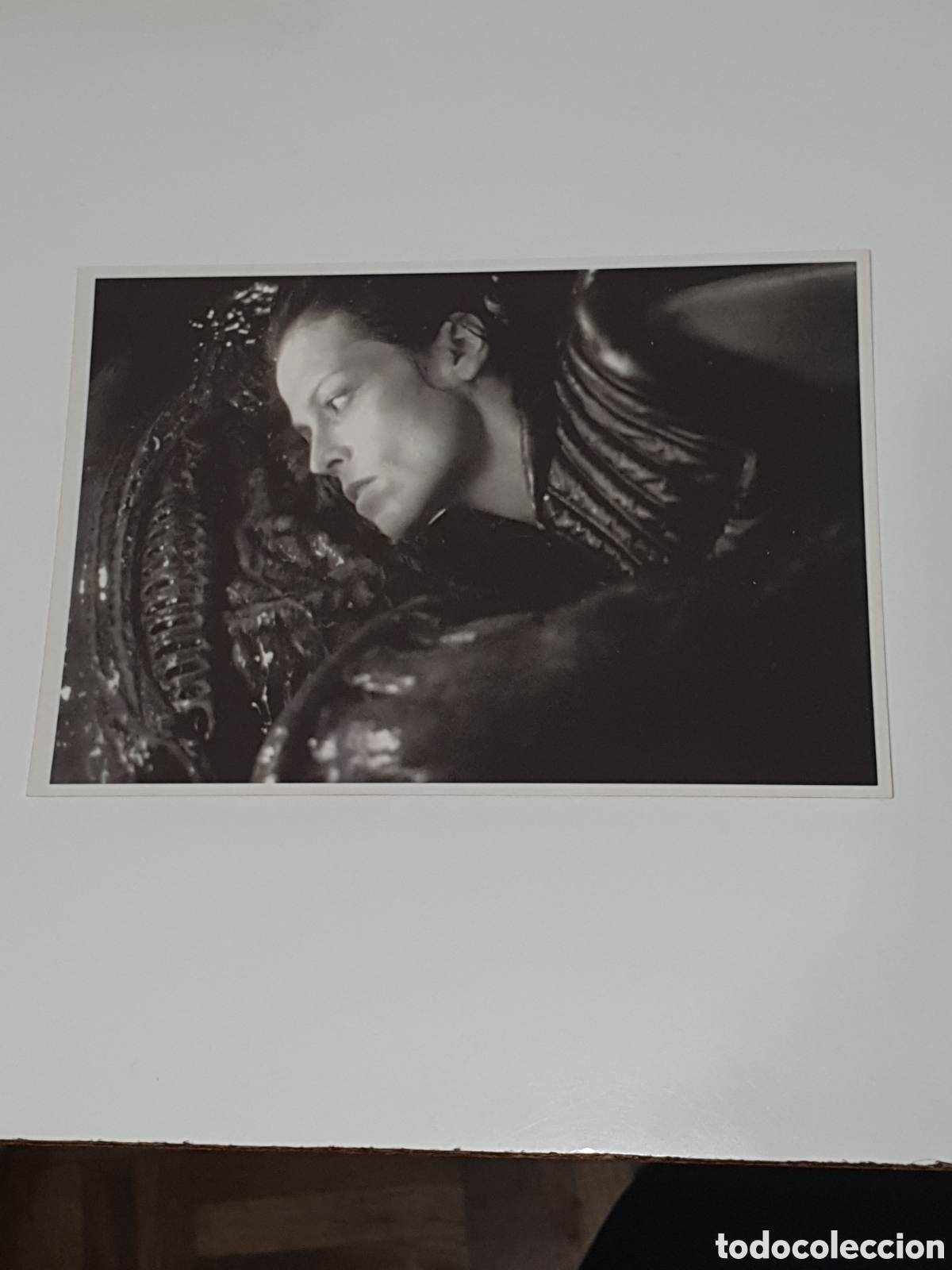 Cine: Postal-91. Alien Resurrection - 64 - Sin Circular.
