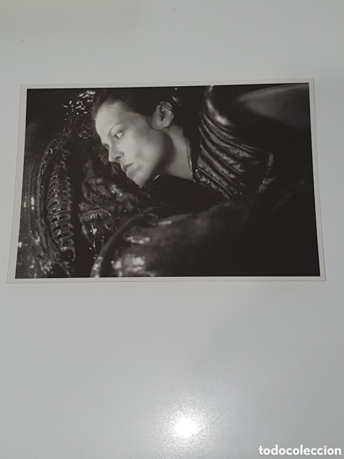 Cine: Postal-91. Alien Resurrection - 64 - Sin Circular.