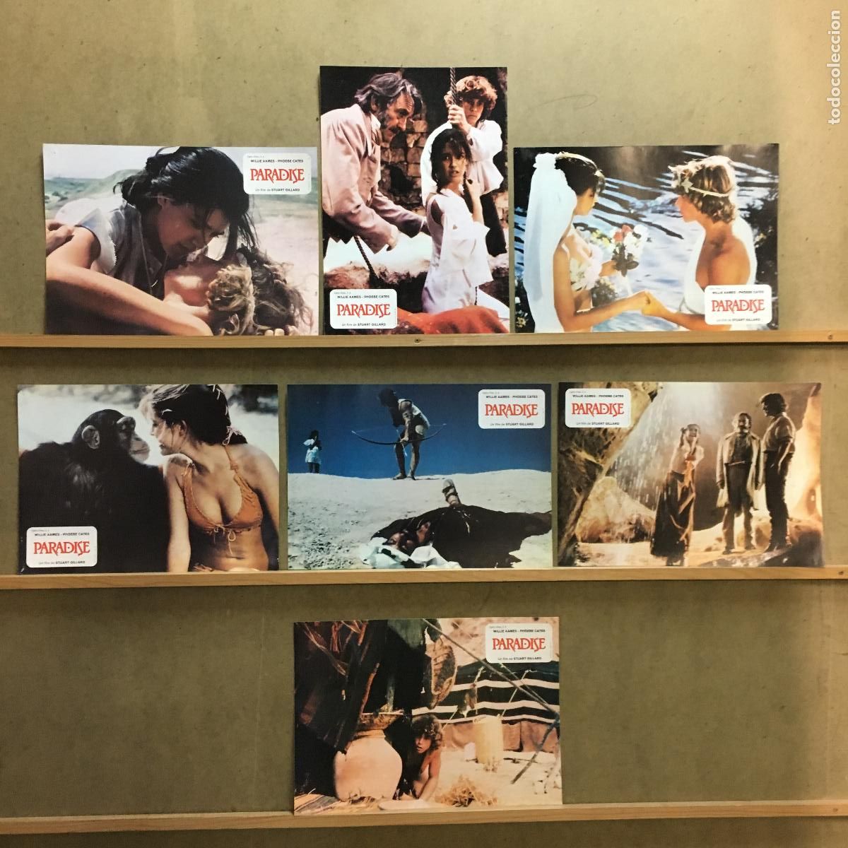 Kino: ACU60 PARADISE WILLIE AAMES PHOEBE CATES SET 7 FOTOCROMOS ORIGINAL ESTRENO