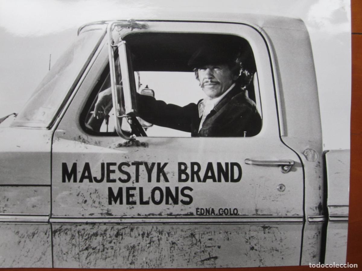 Cine: charles bronson - foto b/n original - mr. majestyk - Richard Fleischer