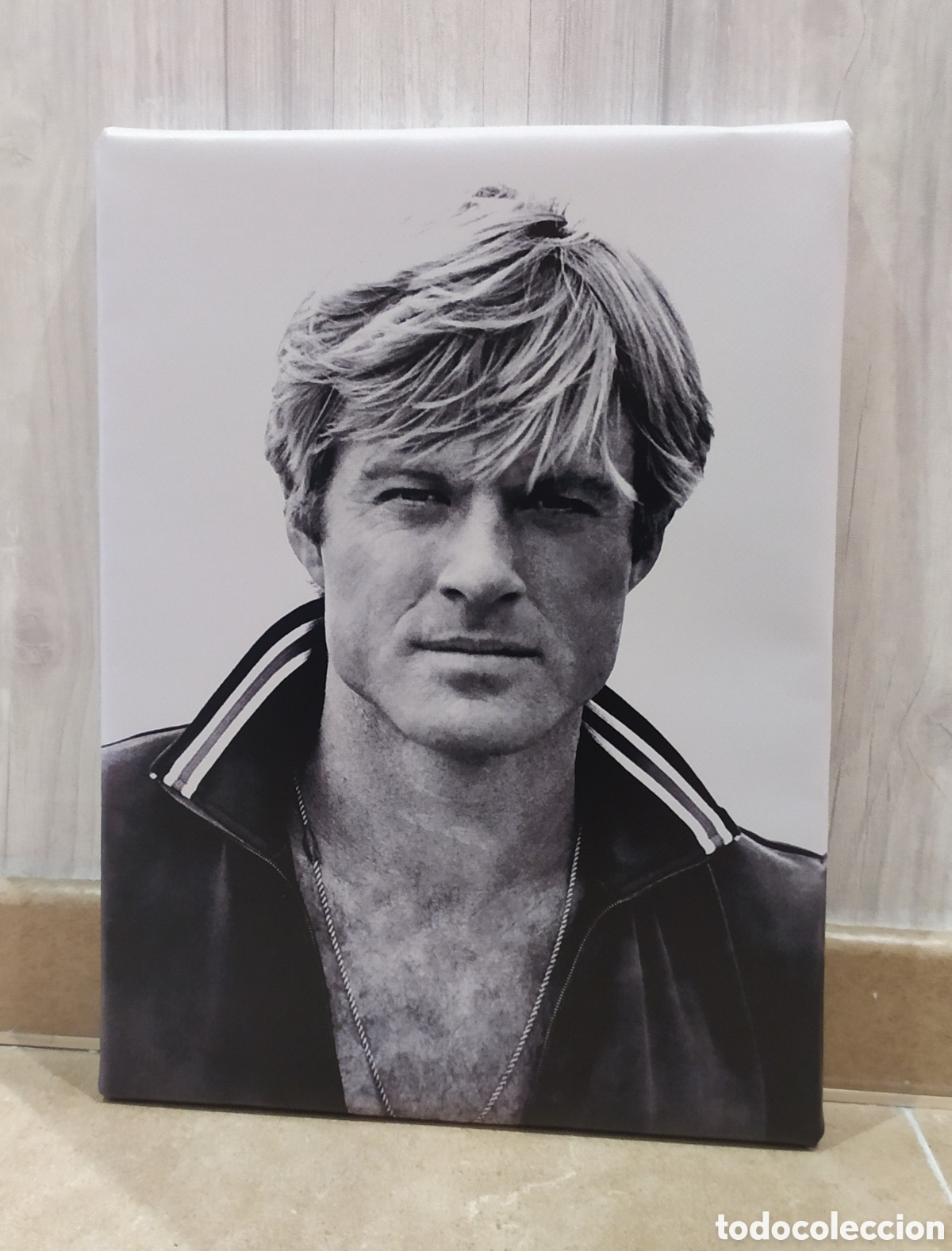 Cin&eacute;ma: Cuadro ROBERT REDFORD