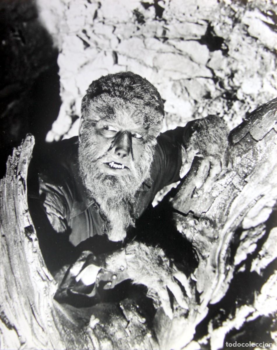 Cinema: LON CHONEY: EL HOMBRE LOBO - FOTO ORIGINAL B/N - 20 x 25 cm