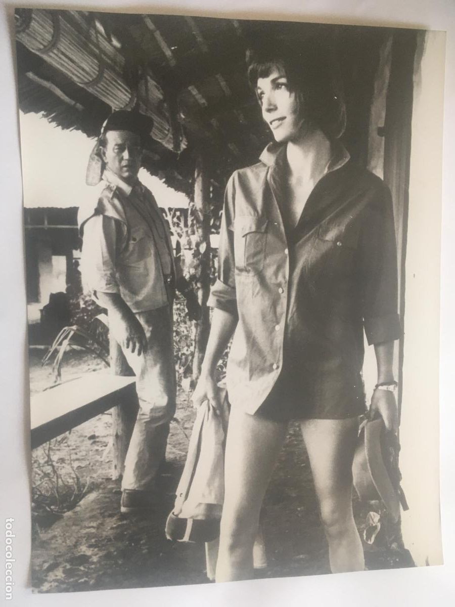 Cine: hatari john wayne howard hawks elsa martinelli foto original reposicion a&ntilde;os 70