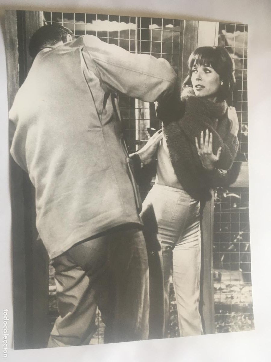 Cine: hatari john wayne howard hawks elsa martinelli foto original reposicion a&ntilde;os 70