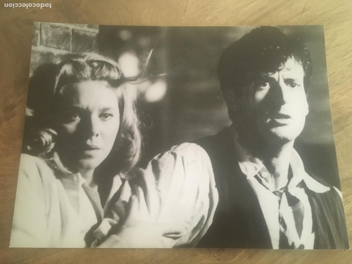 Cine: FIST simbolo de fuerza melinda dillon sylvester stallone foto original estreno