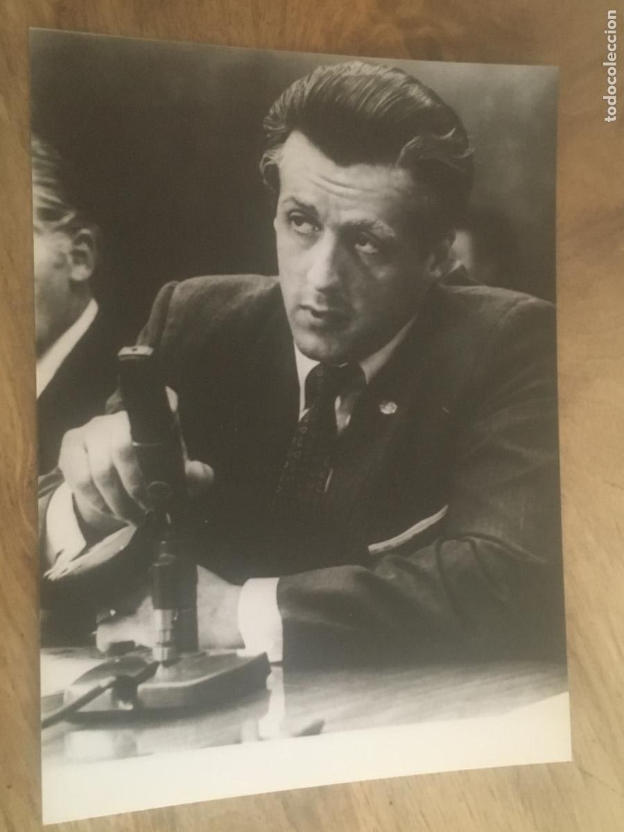 Cine: FIST simbolo de fuerza sylvester stallone foto original estreno